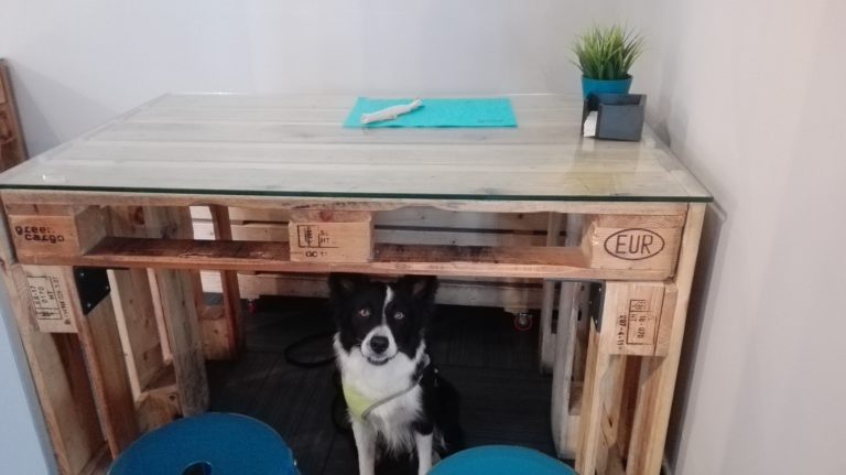De tapeo con mi perro
